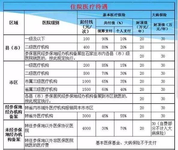 大学生医保报销去哪里报销(新生儿医保报销去哪里报销)